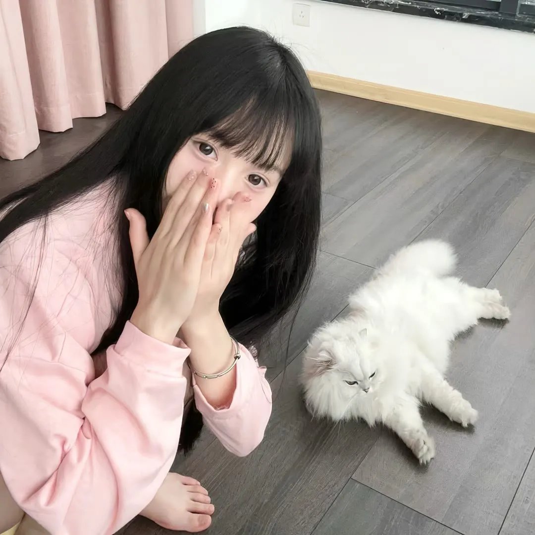 烽火无间 在线观看