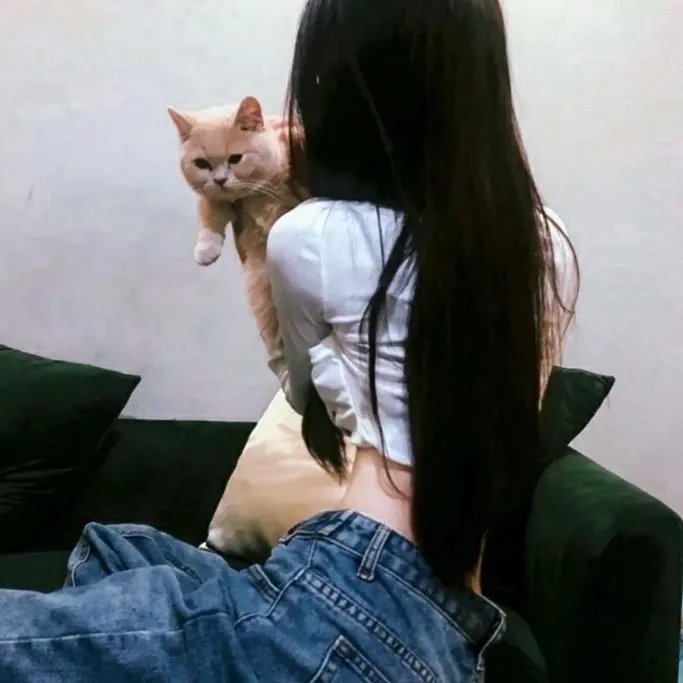 上帝未死3 在线观看
